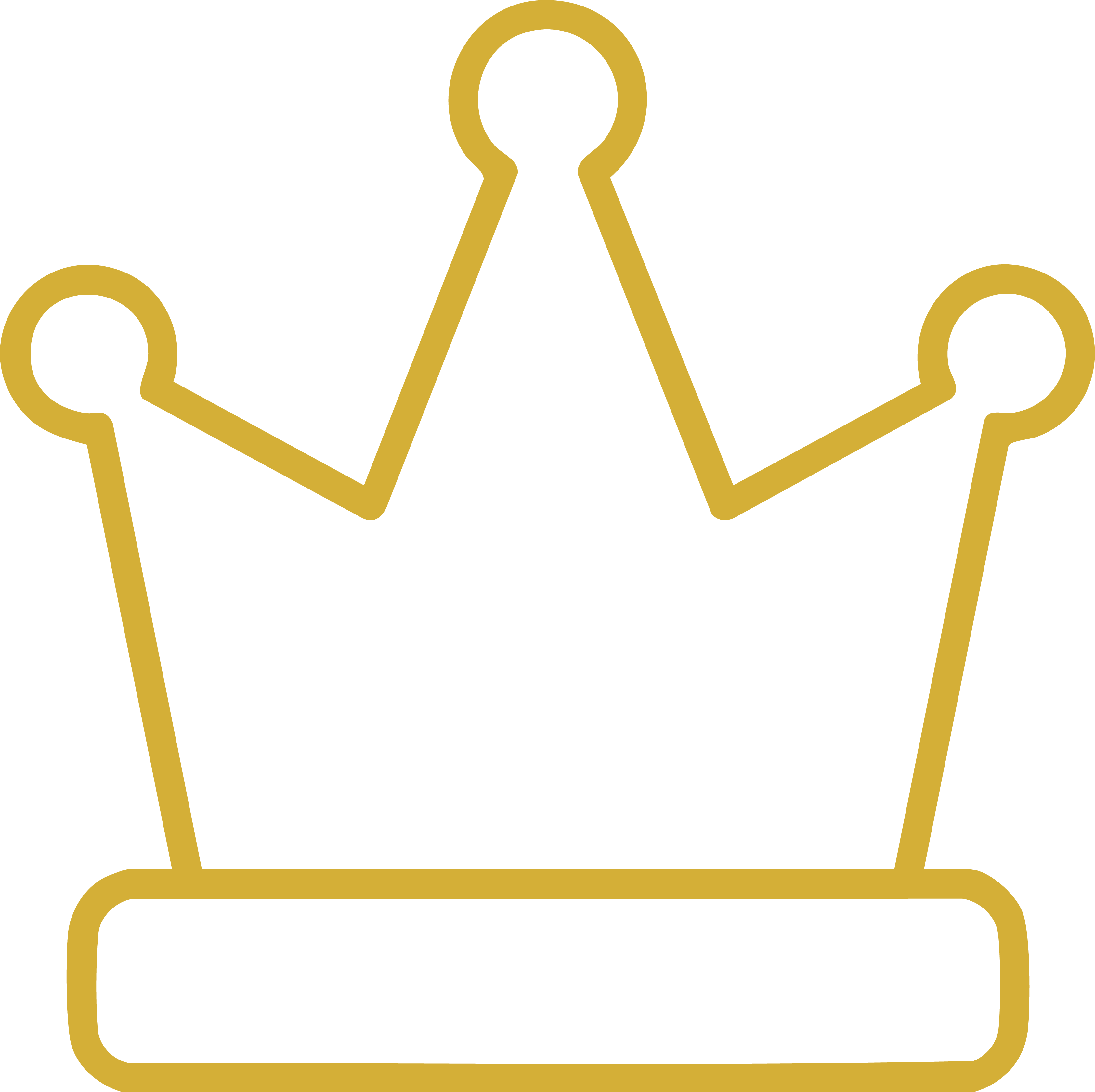 Luxury Grooming Package